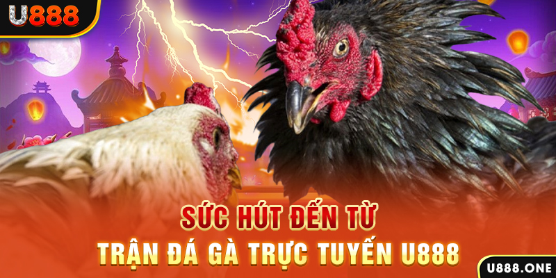 79sodo đá gà trực tiếp c1