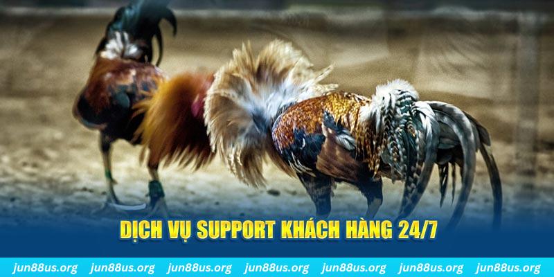 79sodo ÁT CHỦ BÀI GIÀNH LẤY ZHUANG NIUNIU ( XEM 4 LÁ )