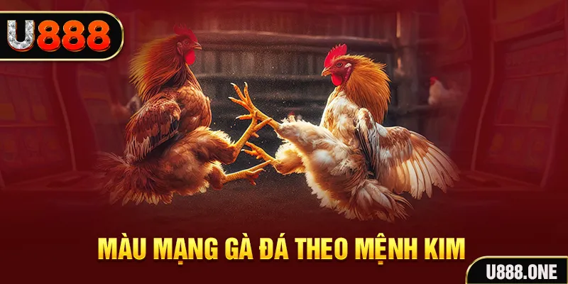 79sodo Cỡ bảy