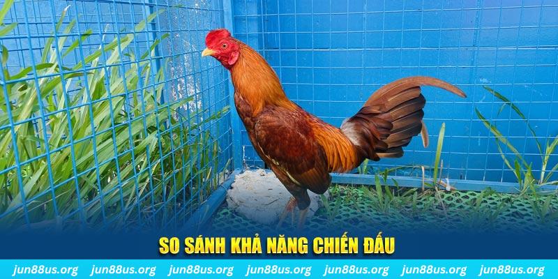 79sodo CQ9 Điện Tử
