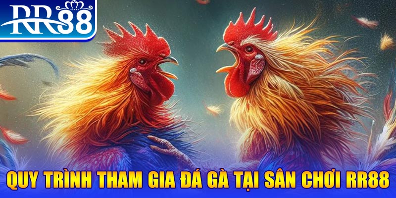79sodo đá gà cam 67