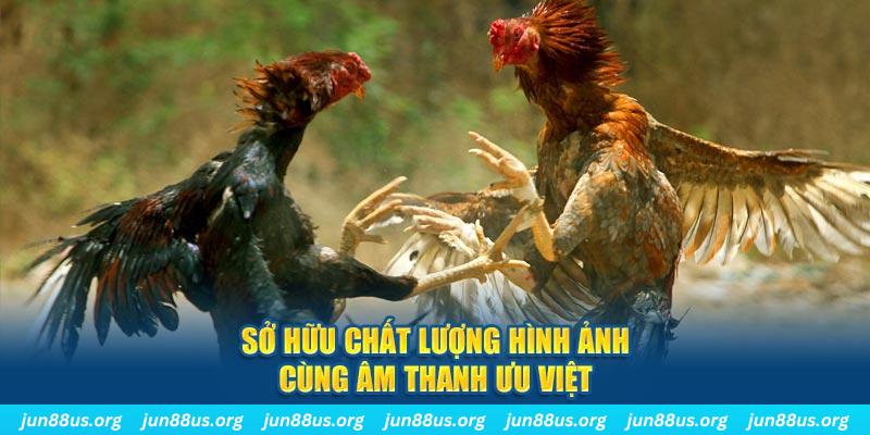 79sodo PP Điện Tử