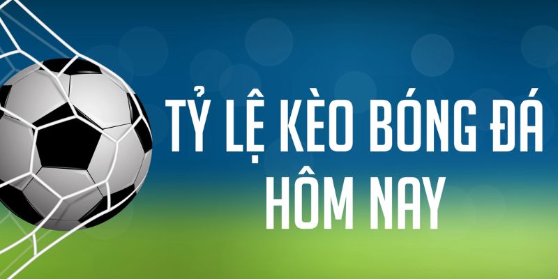 79sodo gà chọi c1 mới nhất