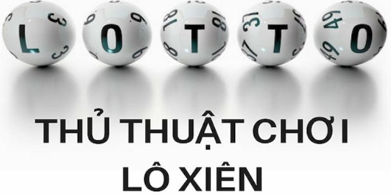 79sodo trực tiếp đá gà thomo