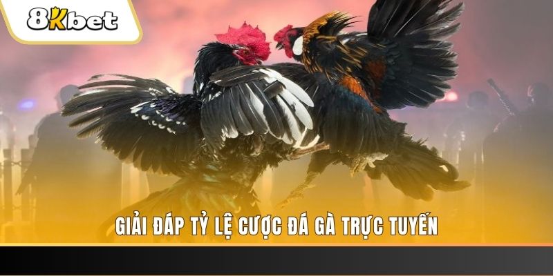79sodo xổ số đài miền trung
