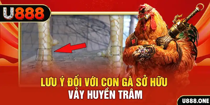 79sodo kết quả xổ số miền nam hôm nay