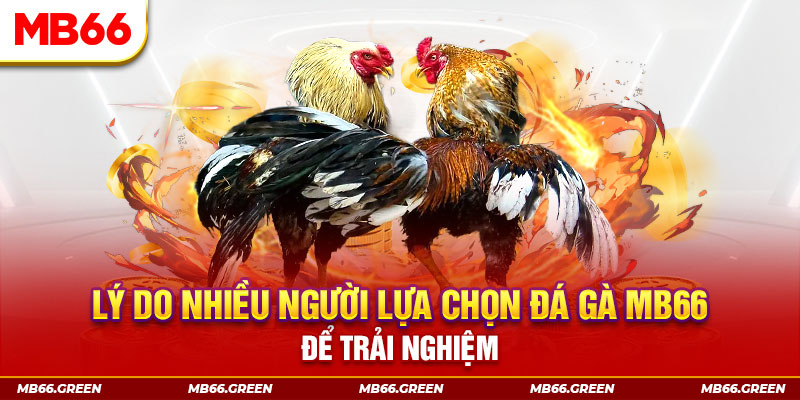 79sodo xổ số miền bắc thứ bảy hàng tuần