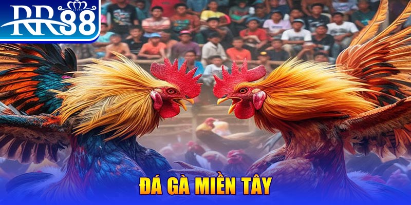 79sodo no hu doi thuong ai