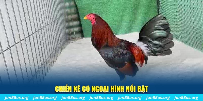 79sodo game nổ hũ là gì