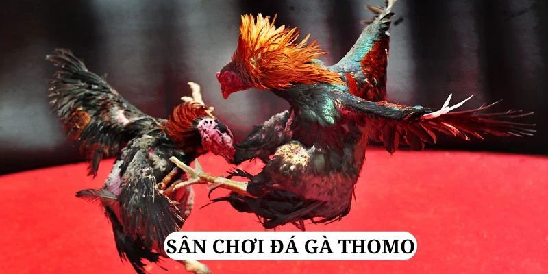 79sodo trực tiếp xổ số miền bắc